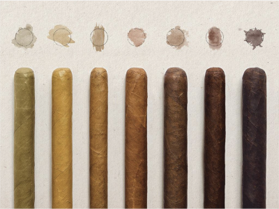 Composition and Structure of Cigars